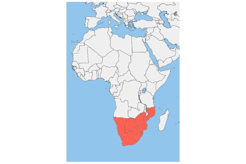 Carta dell'Africa con colorati i paesi dai quali è vietato l'ingresso in Italia