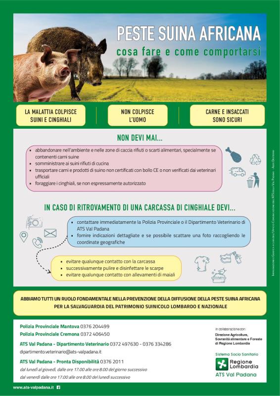 Infografica.